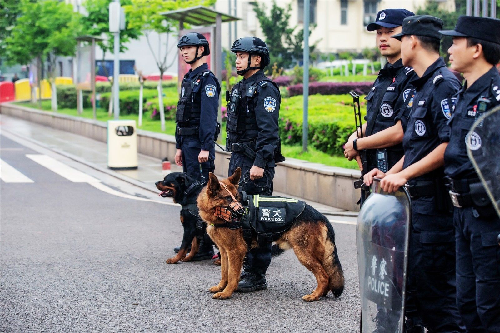 湖南PA集团管理有限公司